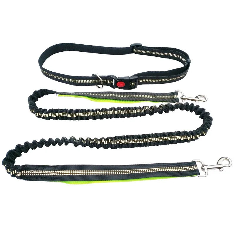 Hands-Free Running Leash – Run, Walk, Play, Repeat - Pet Bliss