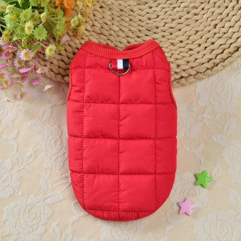 Quilted Dog Winter Vest – Warm Walks, Cozy Pup ❄️ - Pet Bliss