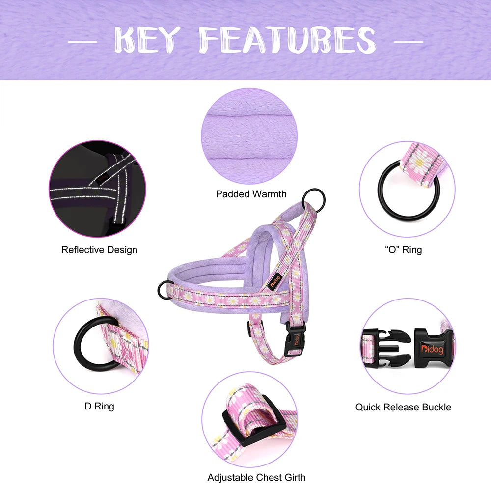 Daisy Padded Harness – Bloom with Every Walk 🌼 - Pet Bliss