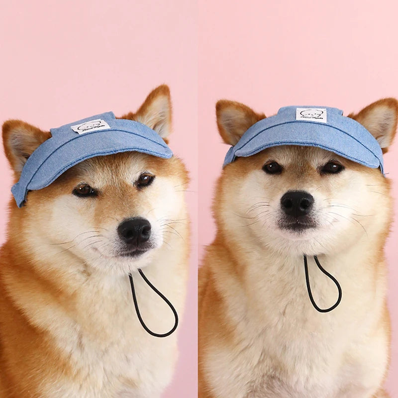 Pawsh Pup Denim Cap 🧢 – Cool Vibes, Protected Eyes - Pet Bliss