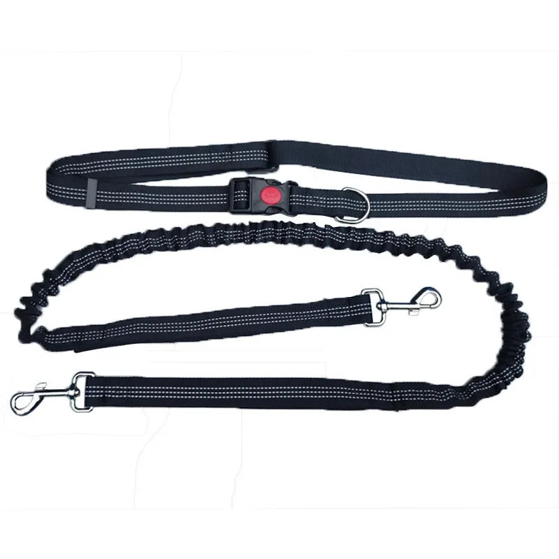 Hands-Free Running Leash – Run, Walk, Play, Repeat - Pet Bliss