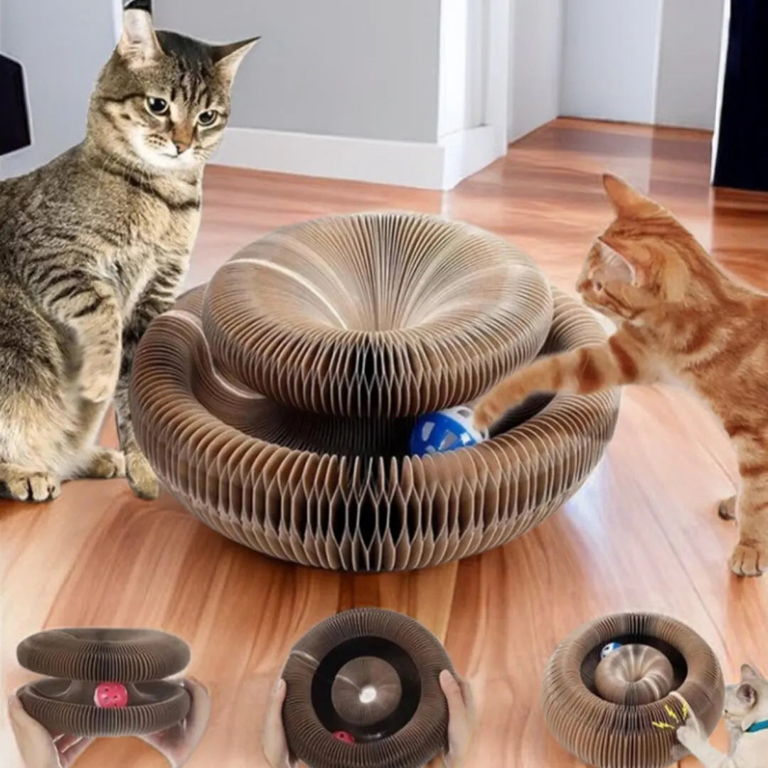 Cat Hive Scratcher & Play Tunnel – 2-in-1 Fun Zone 🐾 - Pet Bliss