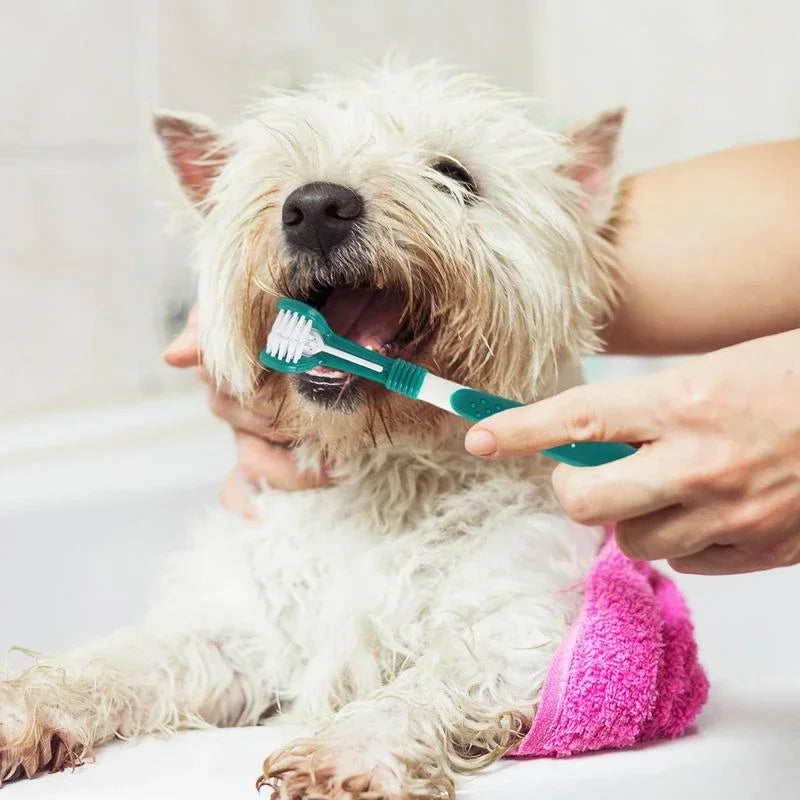 360° Pet Toothbrush - Pet Bliss