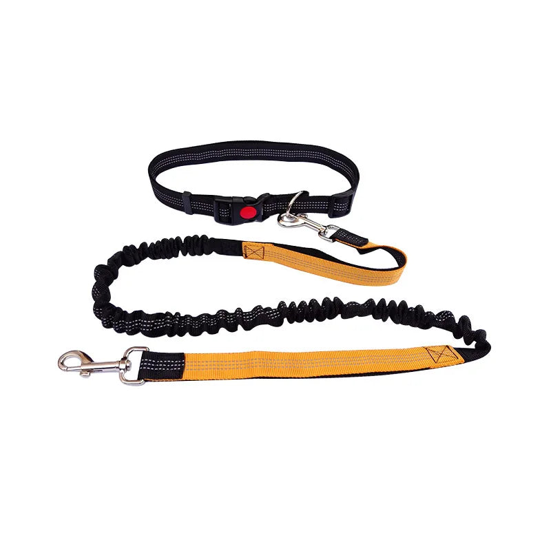 Hands-Free Running Leash – Run, Walk, Play, Repeat - Pet Bliss