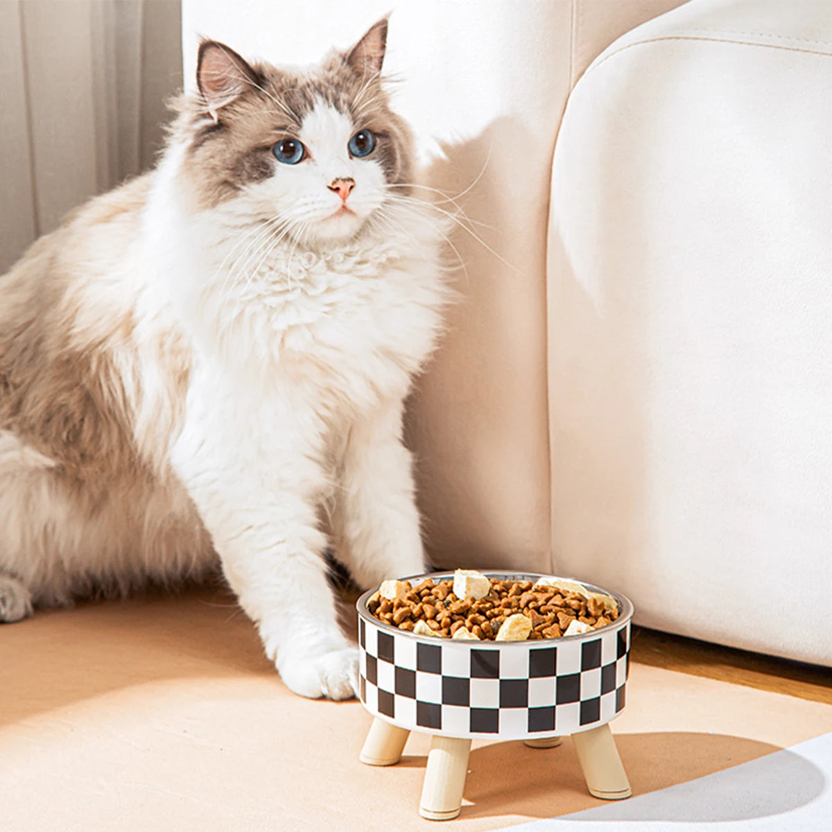 Stylish Elevated Pet Bowl 🏁 Comfort & Convenience for Your Furry Friend - Pet Bliss