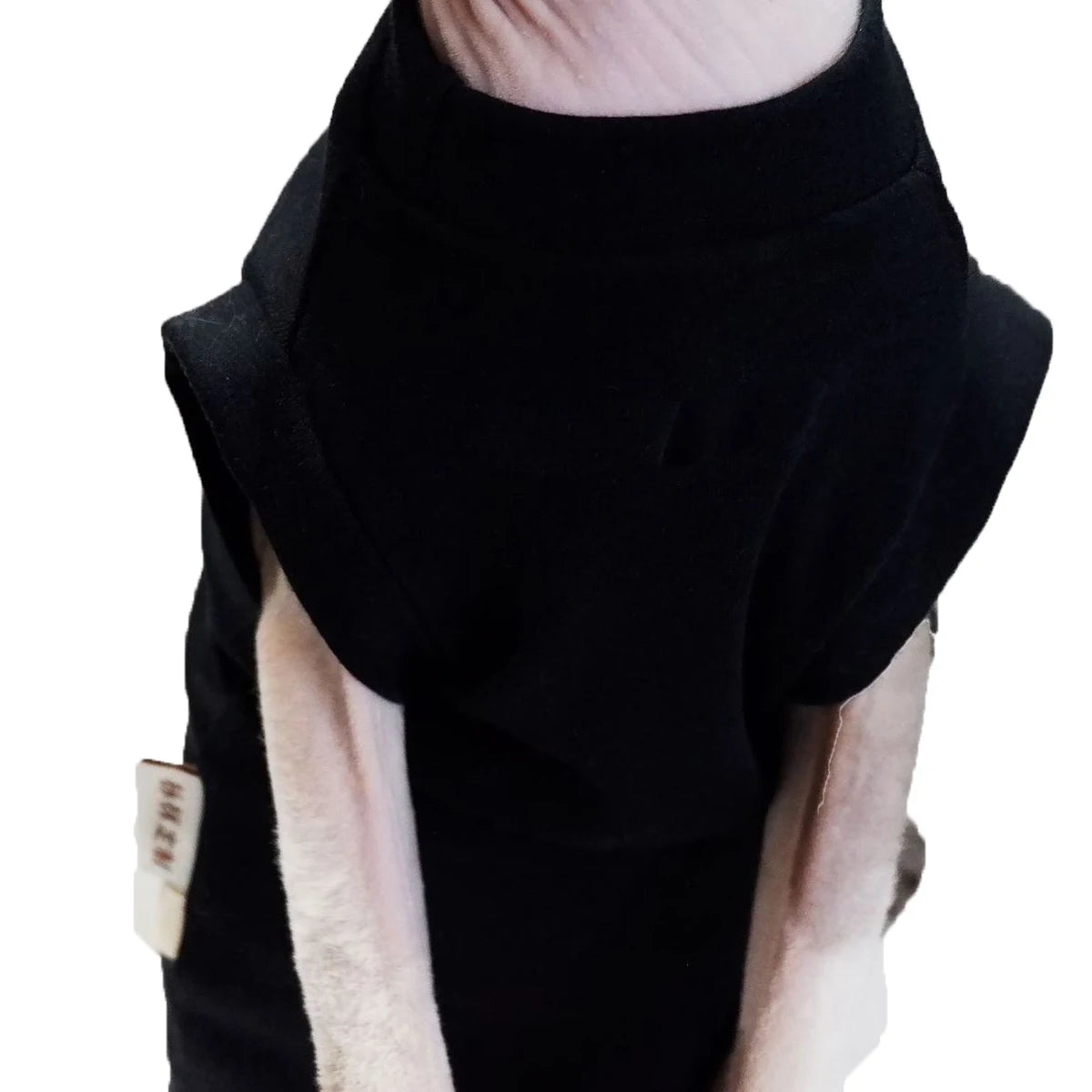 Sphynx Cat T-Shirts – Sleek, Soft & Stylish - Pet Bliss