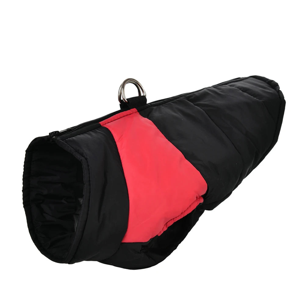 Color-Block Waterproof Dog Jacket – Bold Looks, Warm Walks - Pet Bliss