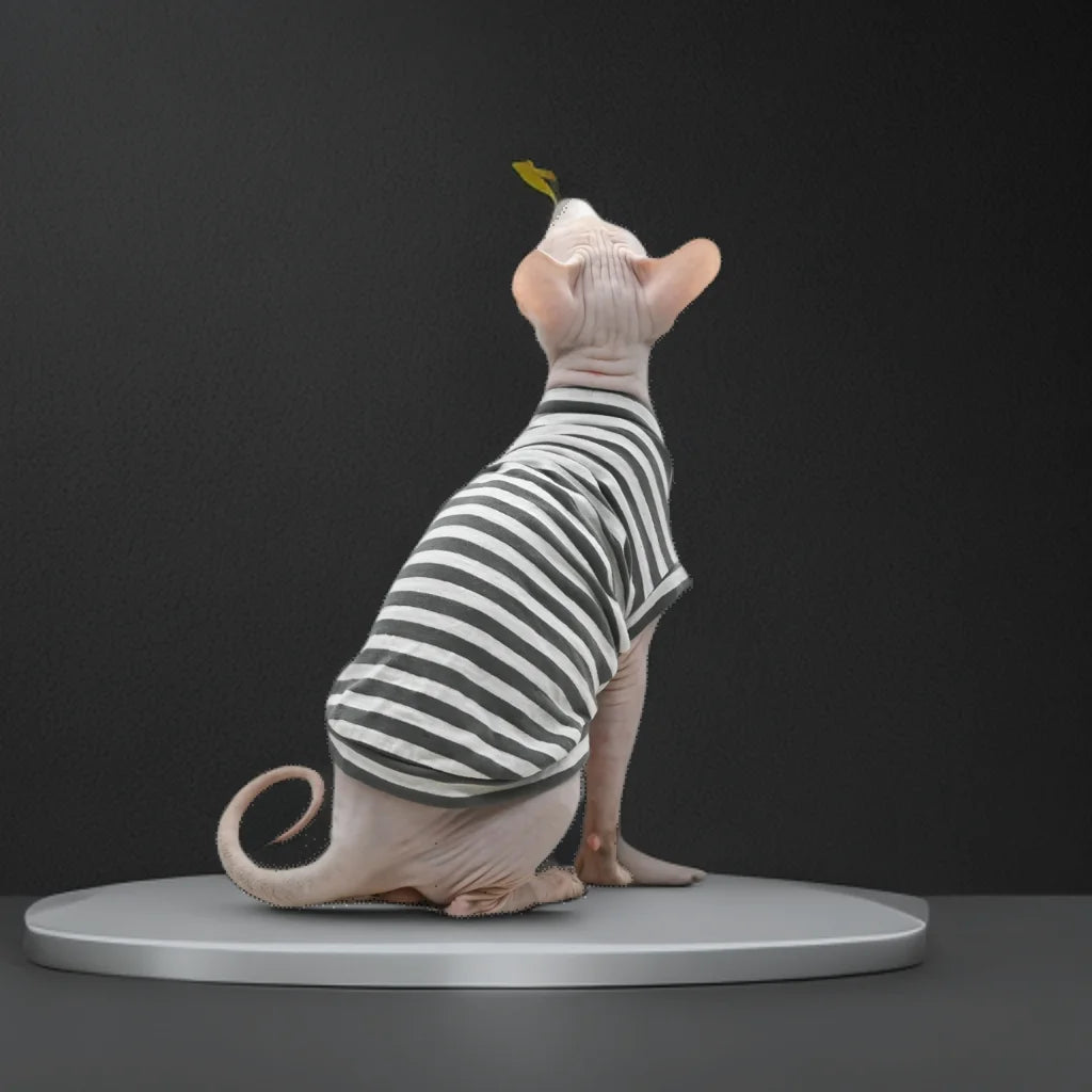 Sphynx Cat T-Shirts – Sleek, Soft & Stylish - Pet Bliss