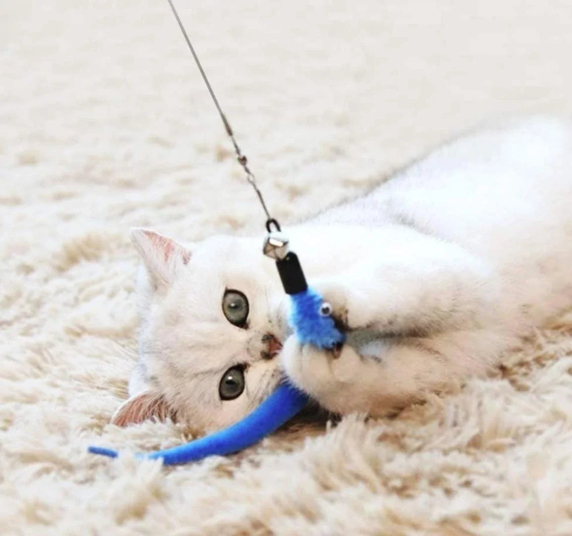 Interactive Cat Feather Wand - 11PCS Set - Pet Bliss