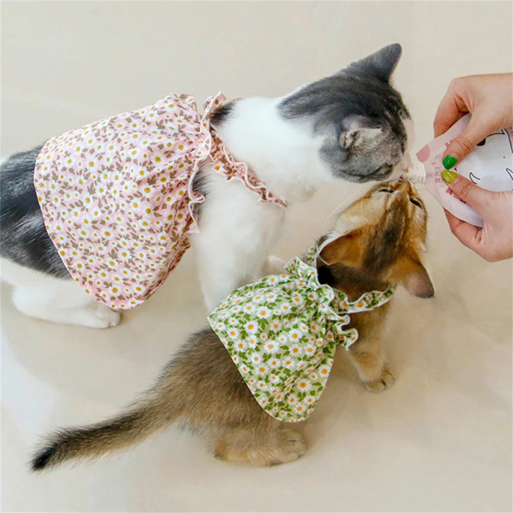 Floral Princess Dresses for Pets – Because every kitty deserves to bloom! 🌼 - Pet Bliss