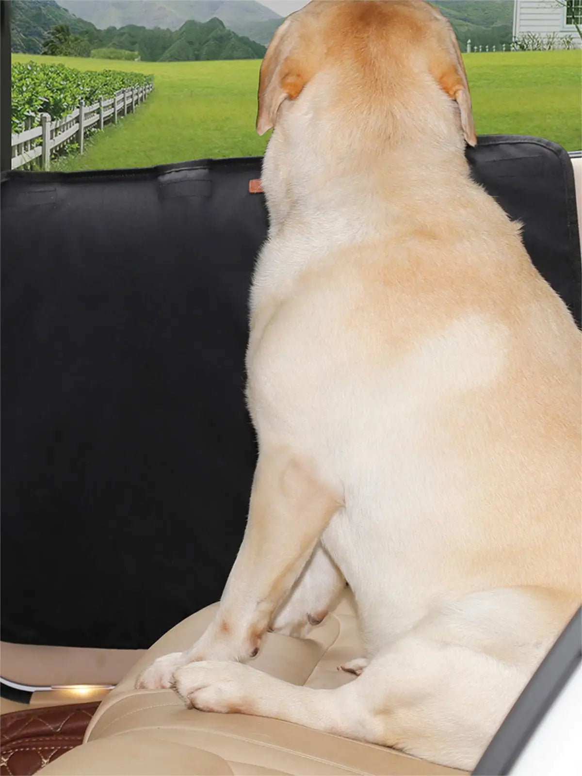 Car Door Protector for Dogs 🐾 - Pet Bliss