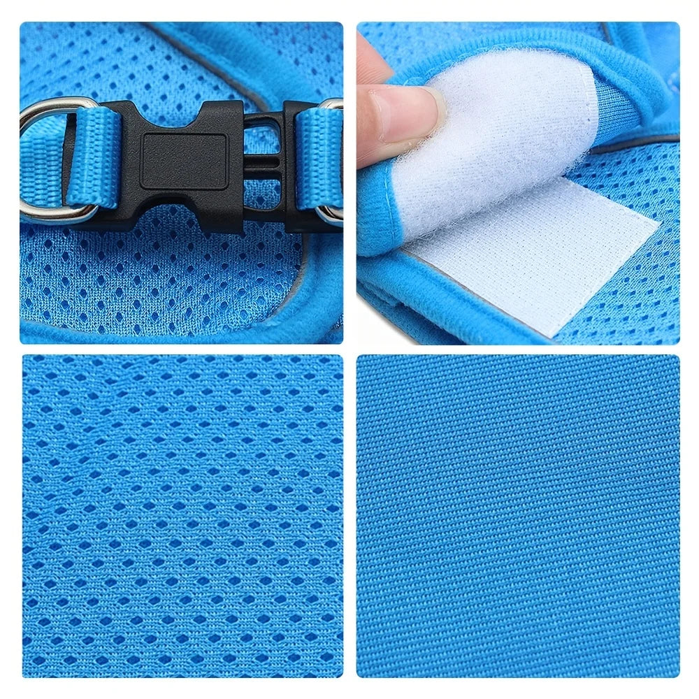 Air Mesh Pet Harness & Leash Set – Cool, Comfy, and Under Control - Pet Bliss