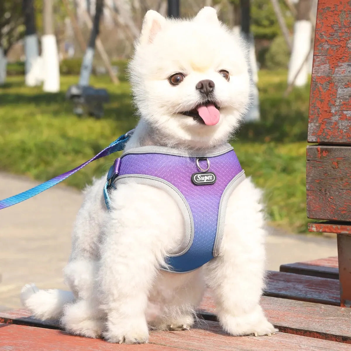 Pastel Dog Harness & Leash Set – Gentle Style, Secure Fit - Pet Bliss