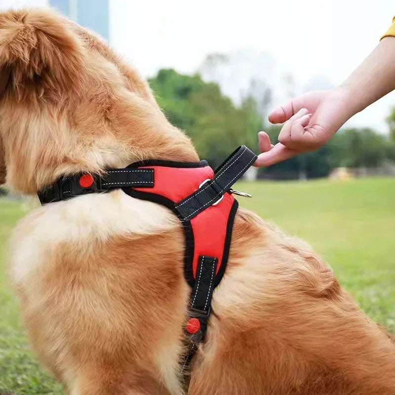 No-Pull Adjustable Dog Harness with Leash β Comfortable & Secure Fit for Dogs - Pet Bliss