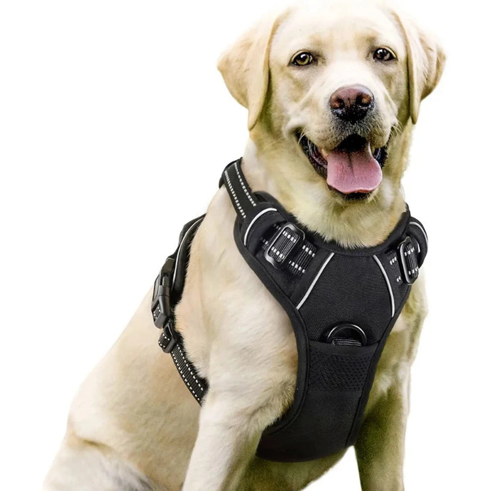 Comfort-Fit Dog Harness – Control Meets Comfort - Pet Bliss