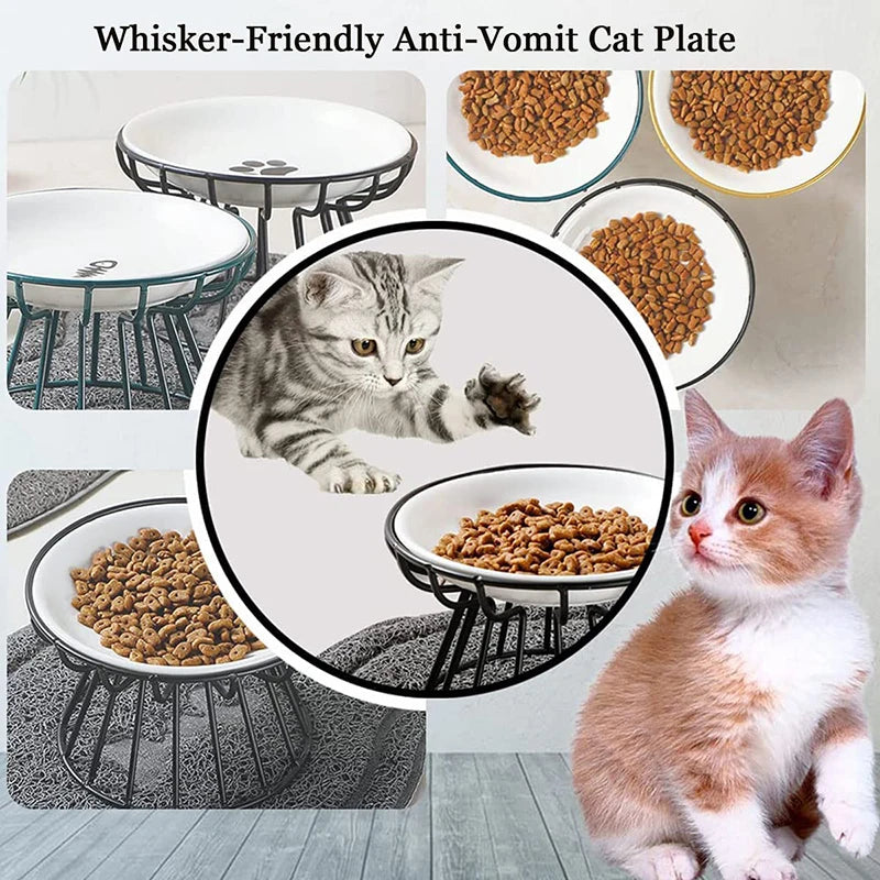 Elevated Ceramic Pet Bowl – Eat in Style, Digest with Ease - Pet Bliss