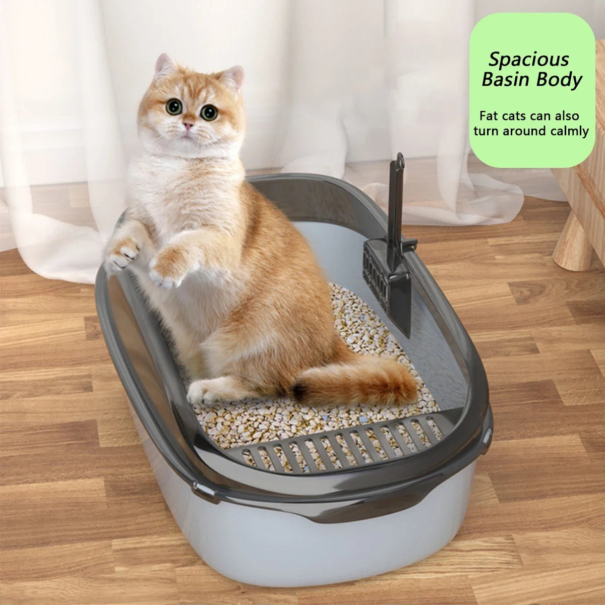 Open Cat Litter Box with Scoop - Pet Bliss