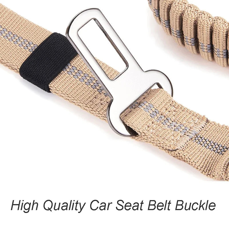 Shock-Absorbing Bungee Dog Leash – Strength Meets Comfort - Pet Bliss