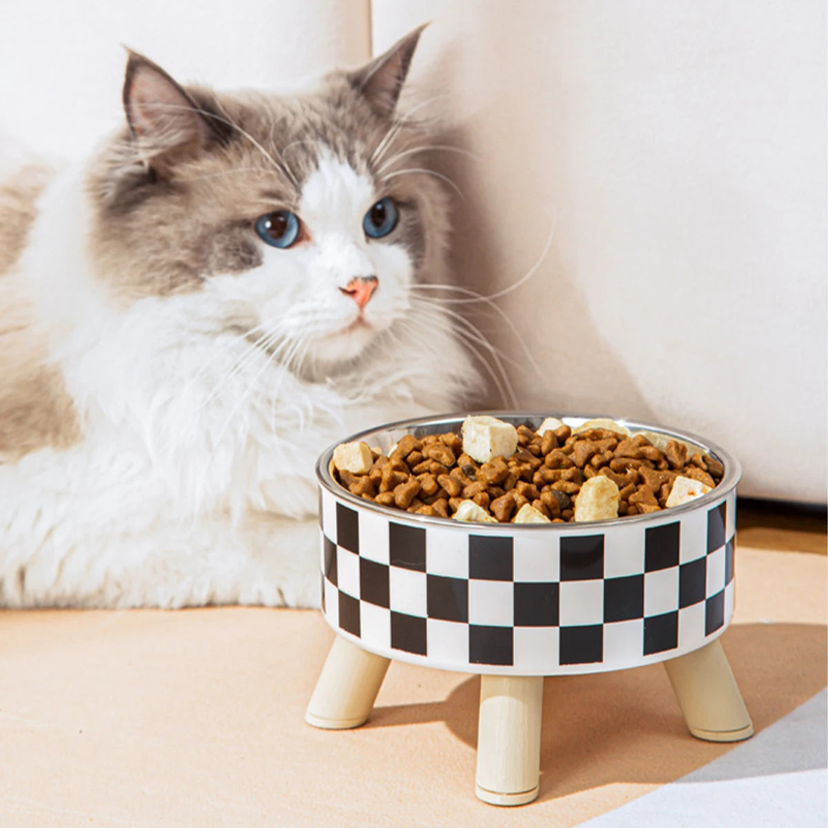 Stylish Elevated Pet Bowl 🏁 Comfort & Convenience for Your Furry Friend - Pet Bliss