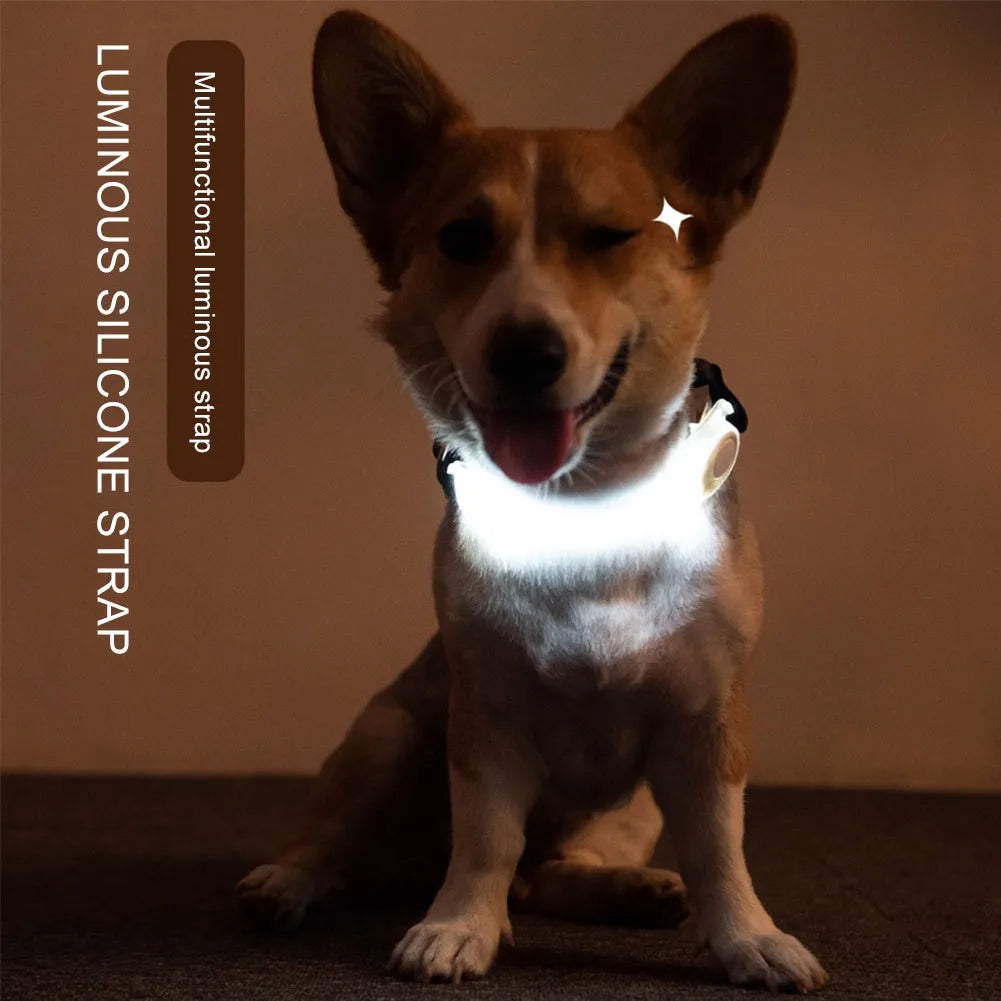 LED Pet Safety Collar Clip – Night Walk Essential - Pet Bliss