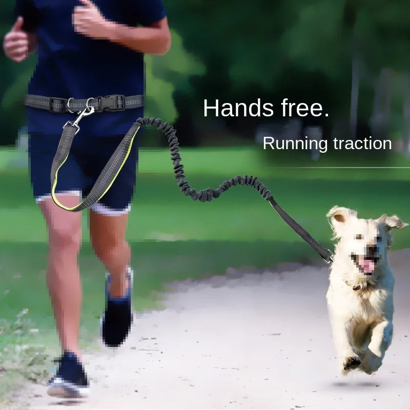 Hands-Free Running Leash – Run, Walk, Play, Repeat - Pet Bliss