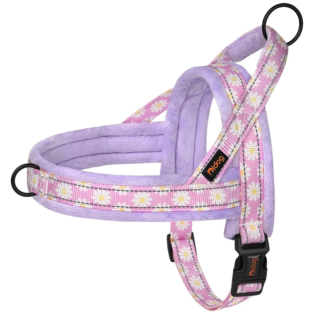 Daisy Padded Harness – Bloom with Every Walk 🌼 - Pet Bliss