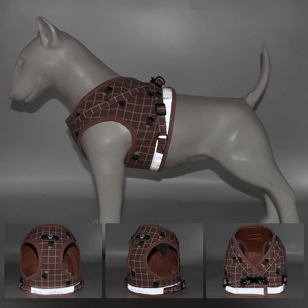 All-in-One Harness Set – Walk in Style & Comfort - Pet Bliss