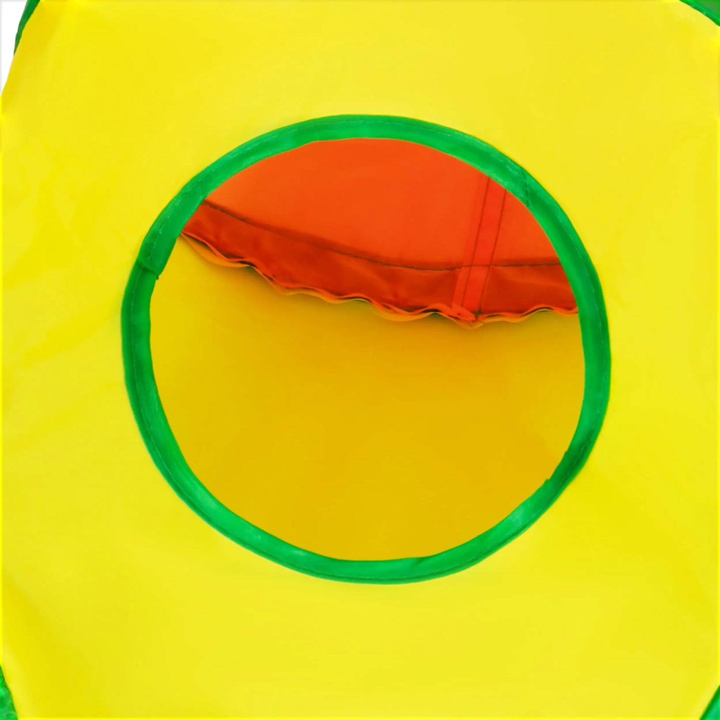 Rainbow Cat Tunnel – Bold Colors, Big Fun 🌈 - Pet Bliss