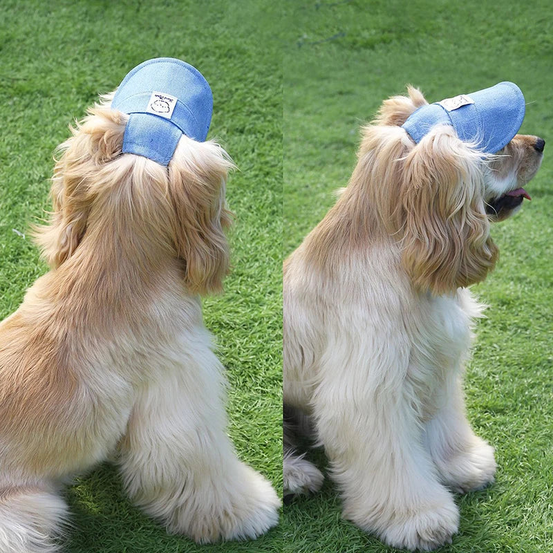 Pawsh Pup Denim Cap 🧢 – Cool Vibes, Protected Eyes - Pet Bliss