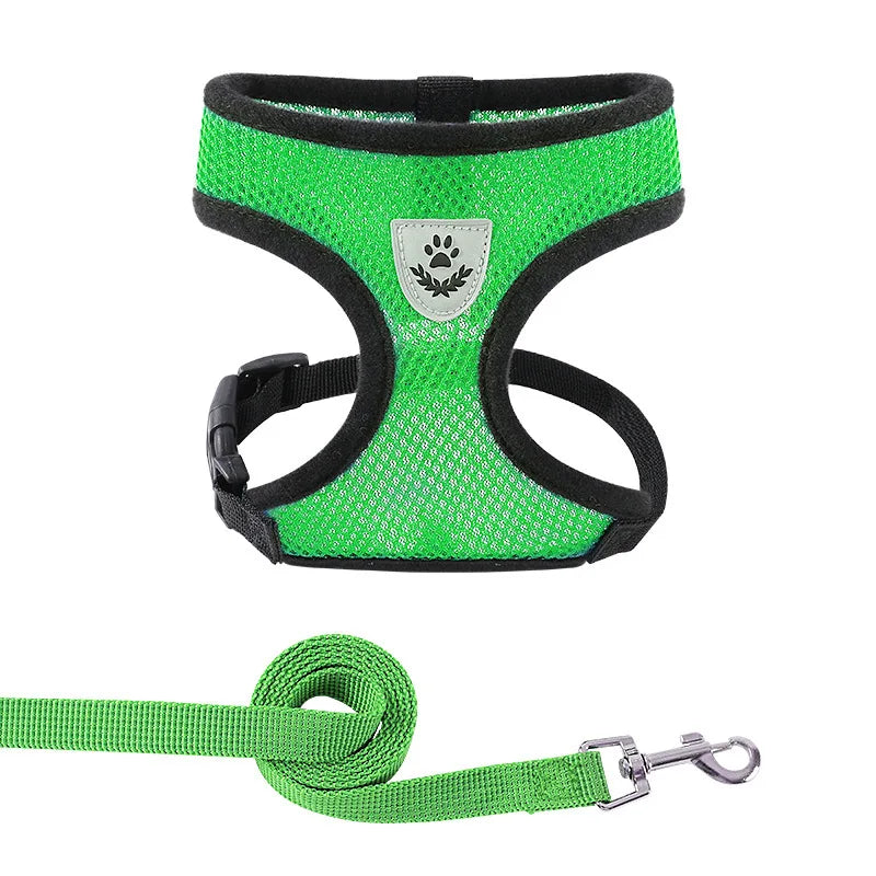 Everyday Mesh Harness Set – Easy, Breezy, Walk-Ready - Pet Bliss