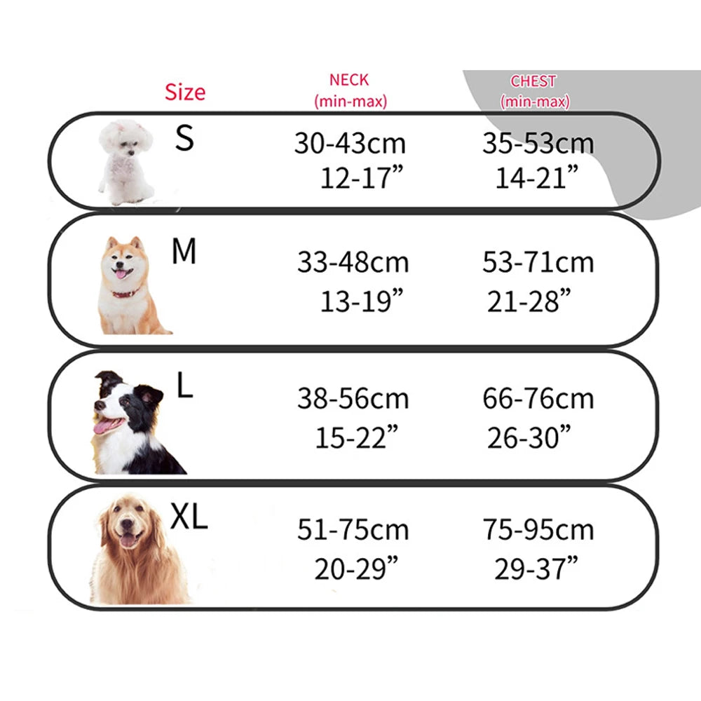 Comfort-Fit Dog Harness – Control Meets Comfort - Pet Bliss