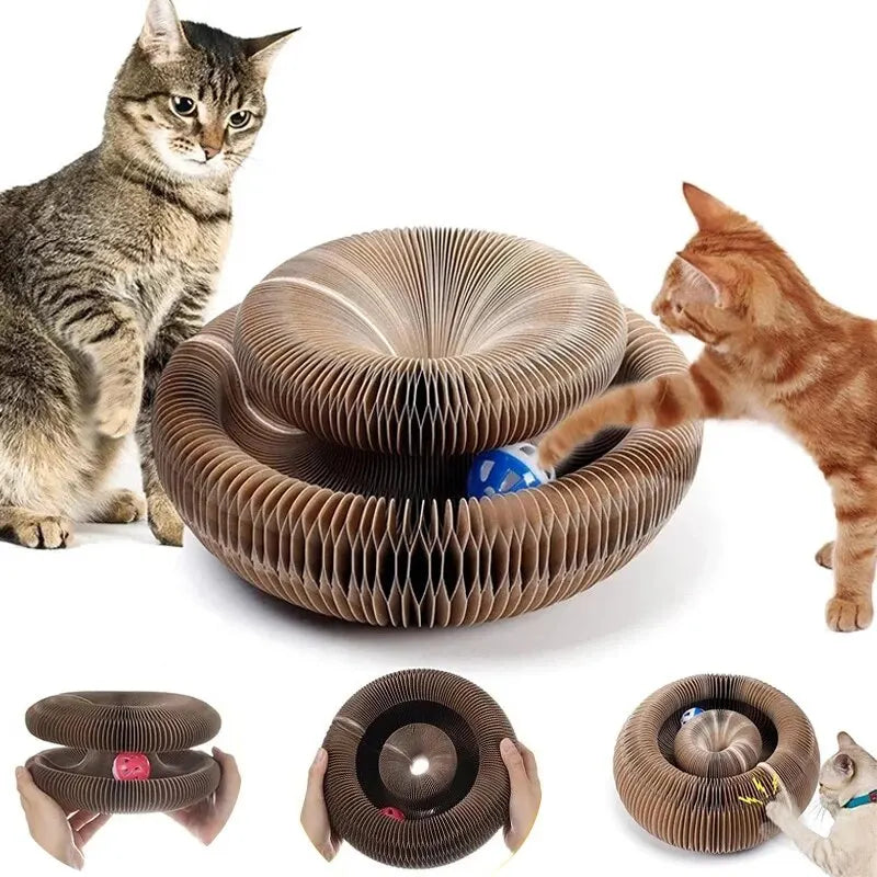 Cat Hive Scratcher & Play Tunnel – 2-in-1 Fun Zone 🐾 - Pet Bliss