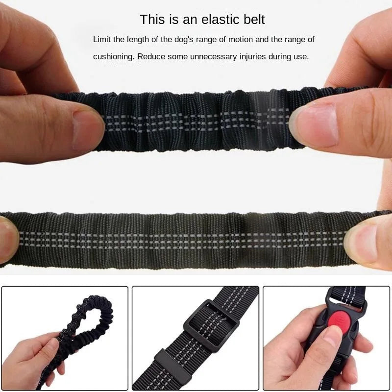 Hands-Free Running Leash – Run, Walk, Play, Repeat - Pet Bliss