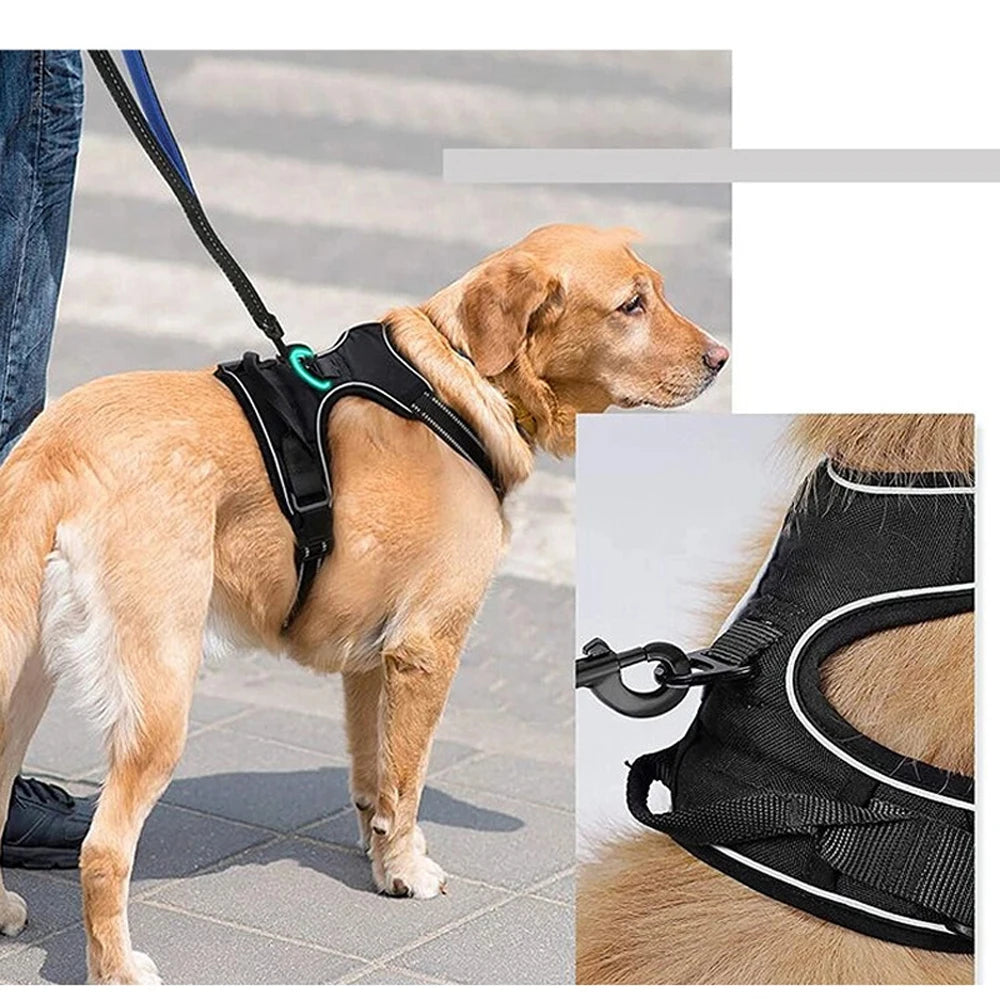Comfort-Fit Dog Harness – Control Meets Comfort - Pet Bliss