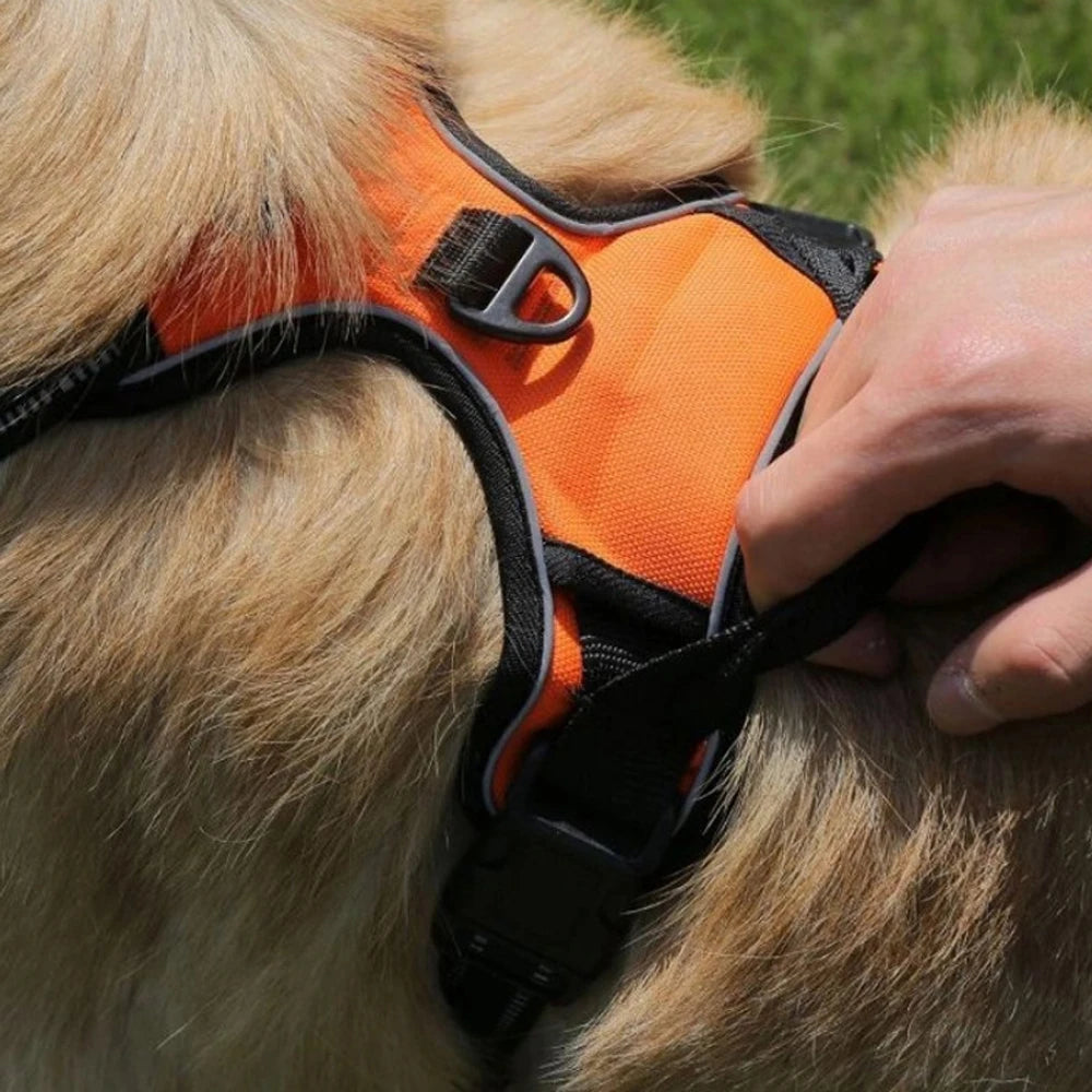 Comfort-Fit Dog Harness – Control Meets Comfort - Pet Bliss
