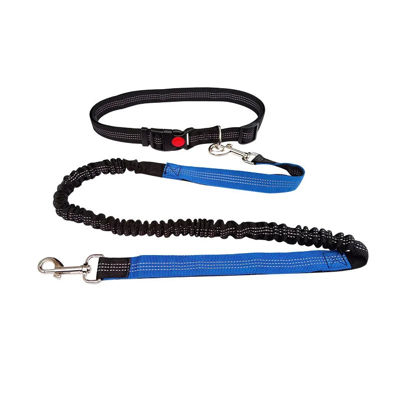 Hands-Free Running Leash – Run, Walk, Play, Repeat - Pet Bliss