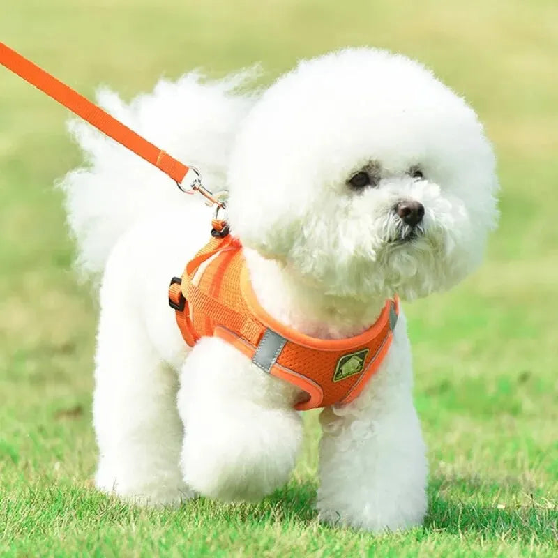 Air Mesh Pet Harness & Leash Set – Cool, Comfy, and Under Control - Pet Bliss