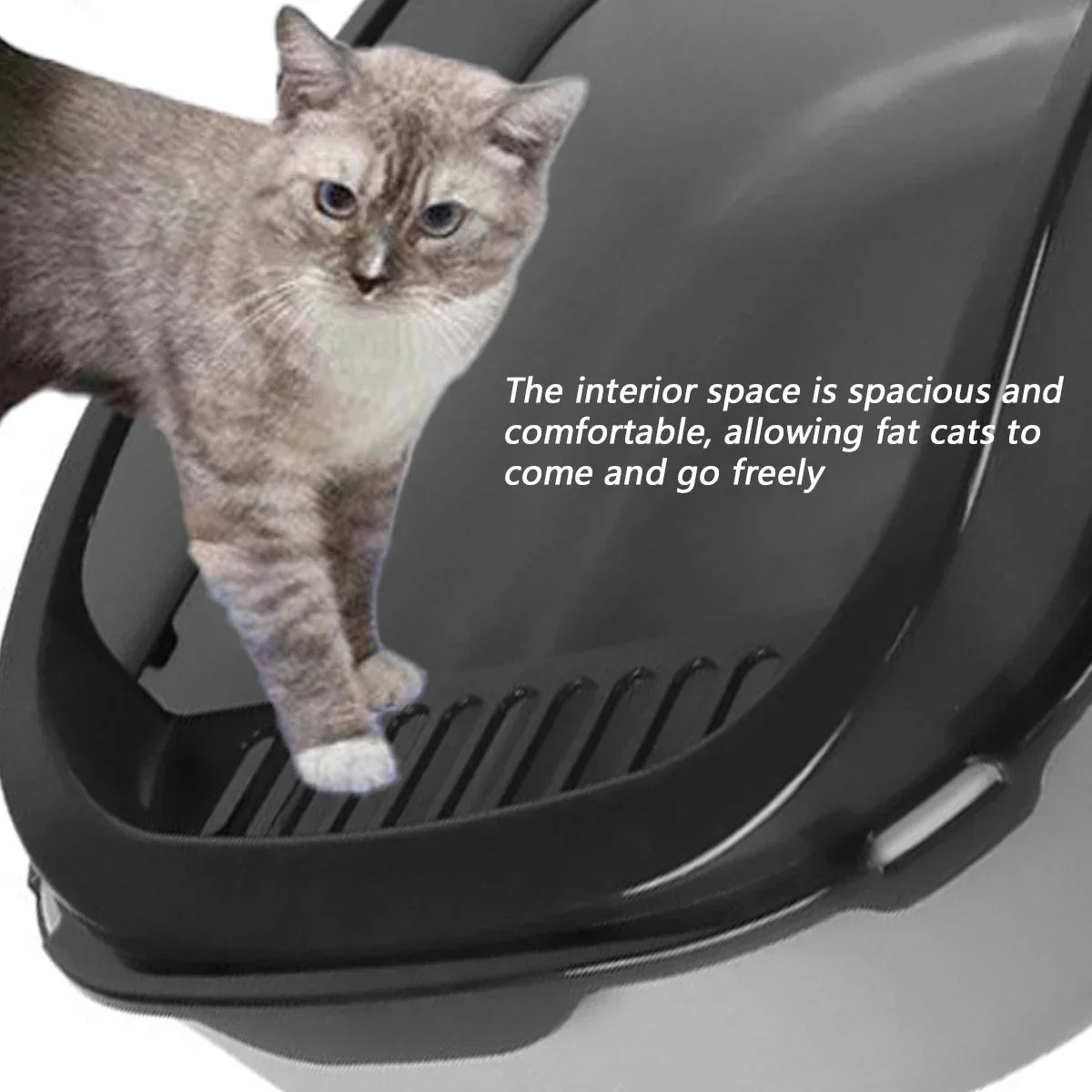 Open Cat Litter Box with Scoop - Pet Bliss