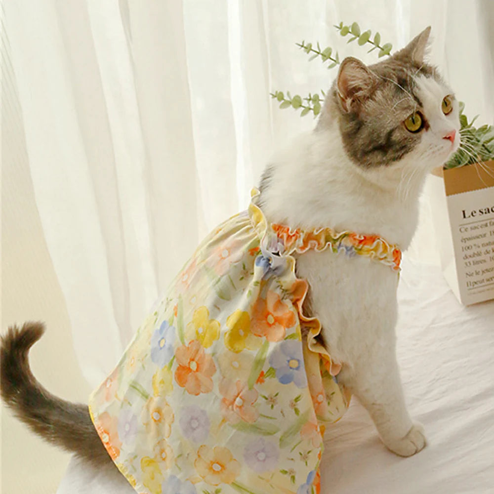 Floral Princess Dresses for Pets – Because every kitty deserves to bloom! 🌼 - Pet Bliss