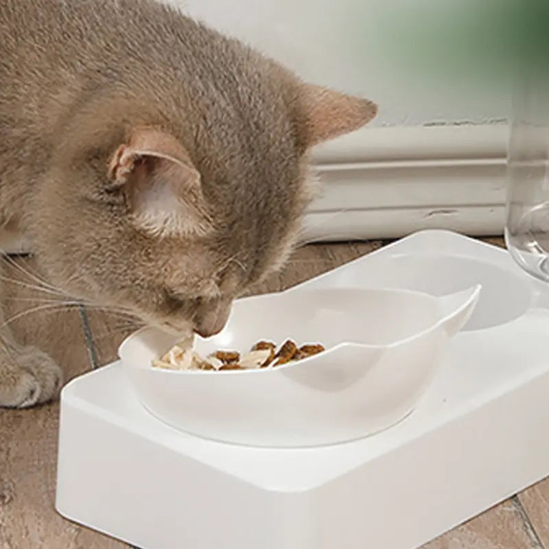 Minimalist Cat Bowl Set with Water Dispenser – Clean, Cute & Clever - Pet Bliss