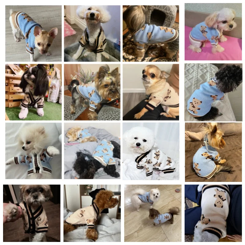 🧸 Teddy Bear Knit Cardigan – Cuteness Meets Cozy! - Pet Bliss