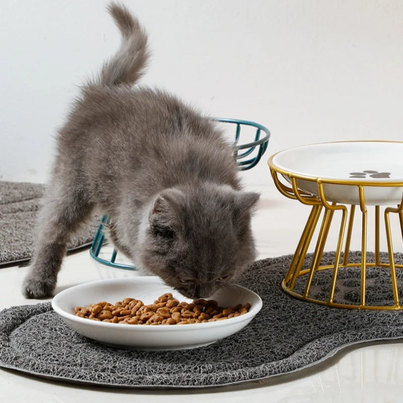 Elevated Ceramic Pet Bowl – Eat in Style, Digest with Ease - Pet Bliss