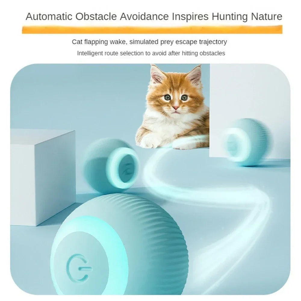 Automatic LED Cat Ball - Pet Bliss