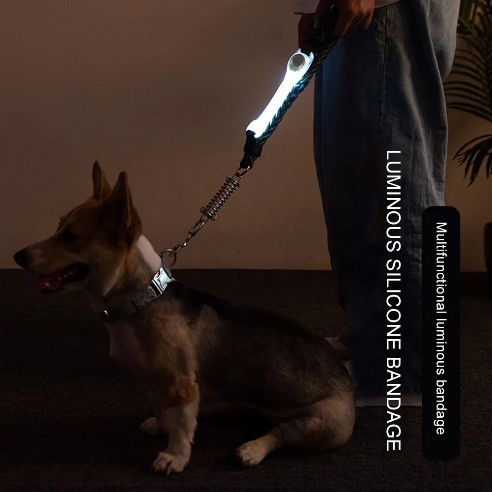 LED Pet Safety Collar Clip – Night Walk Essential - Pet Bliss