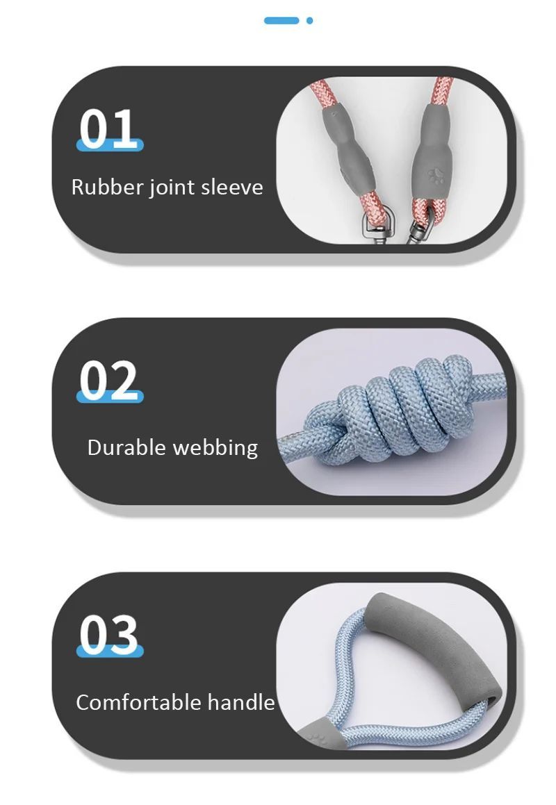 Double Dog Leash β Walk Two Dogs with Zero Hassle! - Pet Bliss