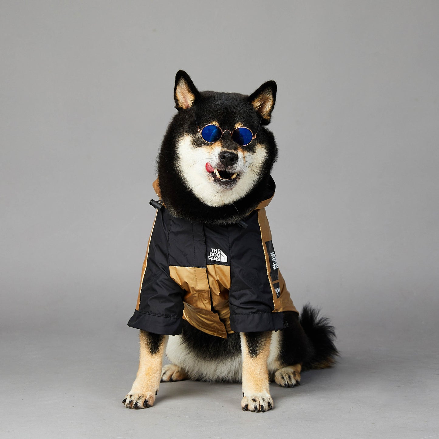 Luxury Dog Puffer Jacket – Style Meets Comfort - Pet Bliss