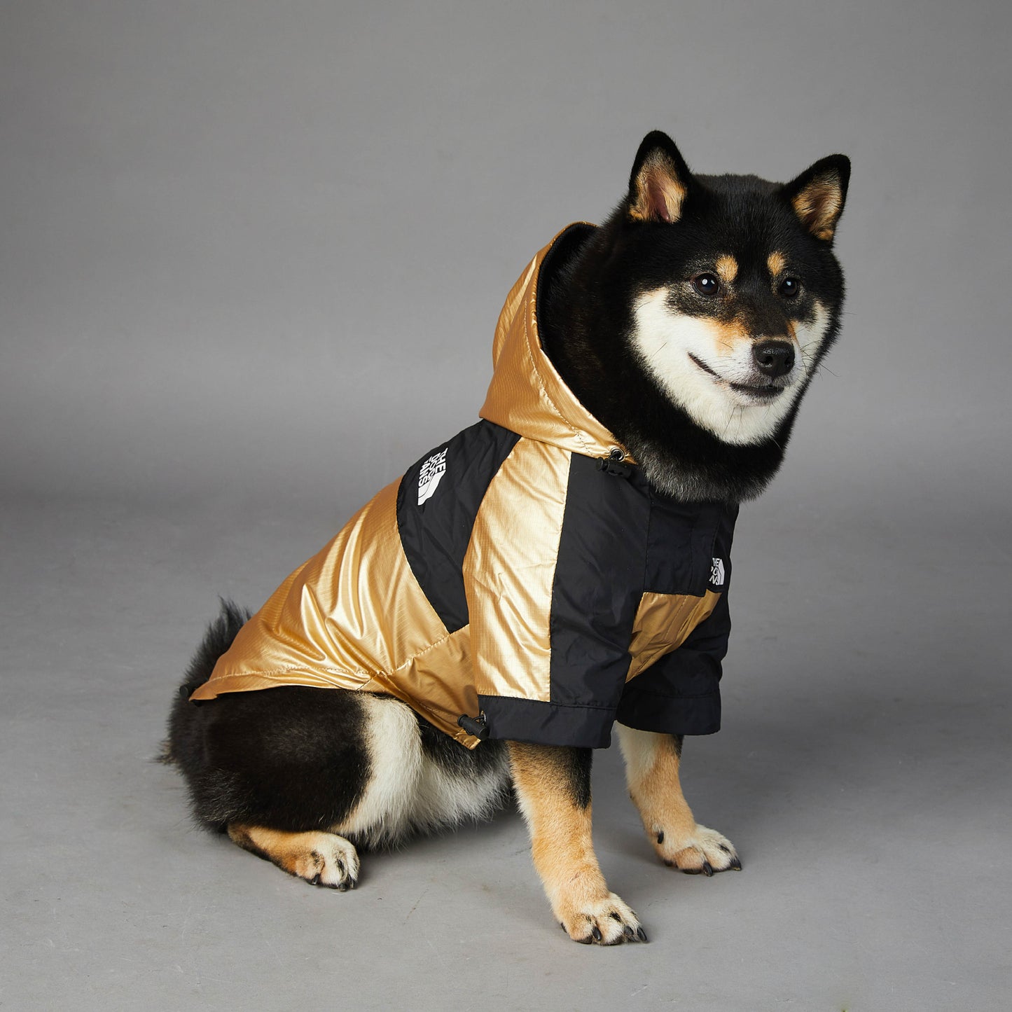 Luxury Dog Puffer Jacket – Style Meets Comfort - Pet Bliss