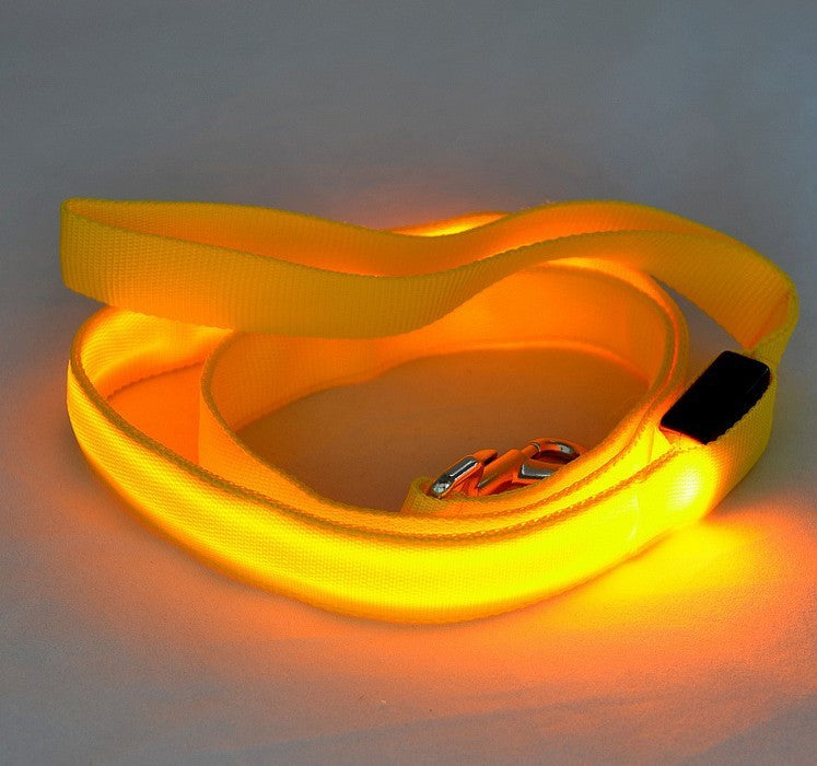 LED Light-Up Dog Leash β Safety & Style for Night Walks! - Pet Bliss