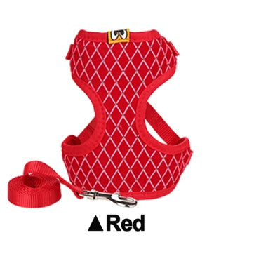 Stylish and Secure Cat Harness with Leash - Pet Bliss
