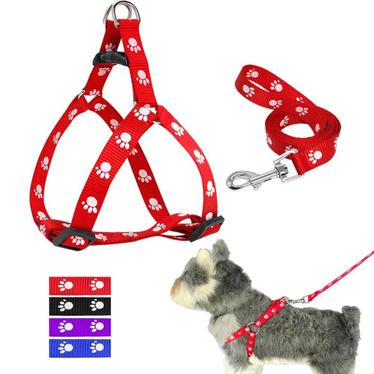 Stylish Paw Print Adjustable Harness & Leash - Pet Bliss